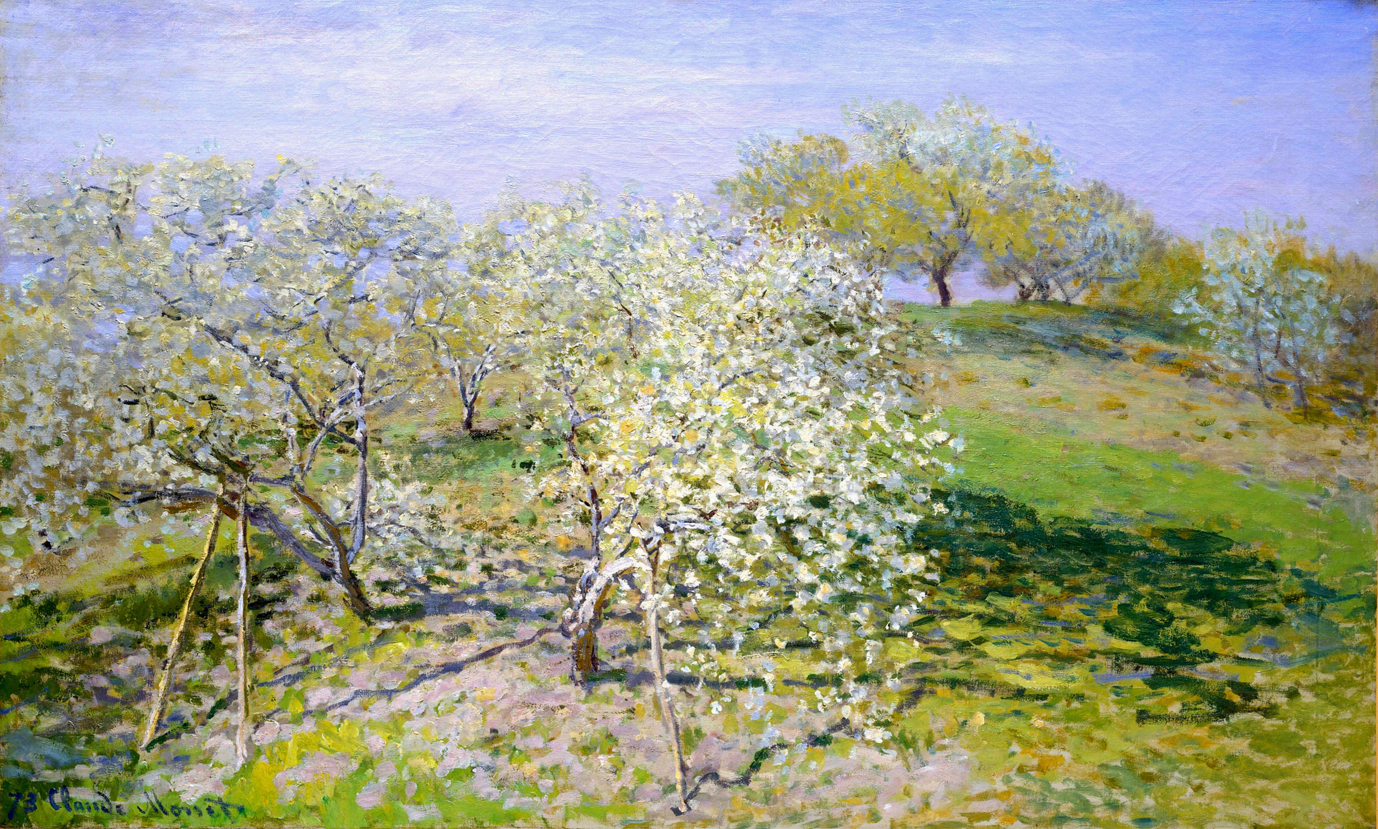 Apple Trees in Bloom 1873
